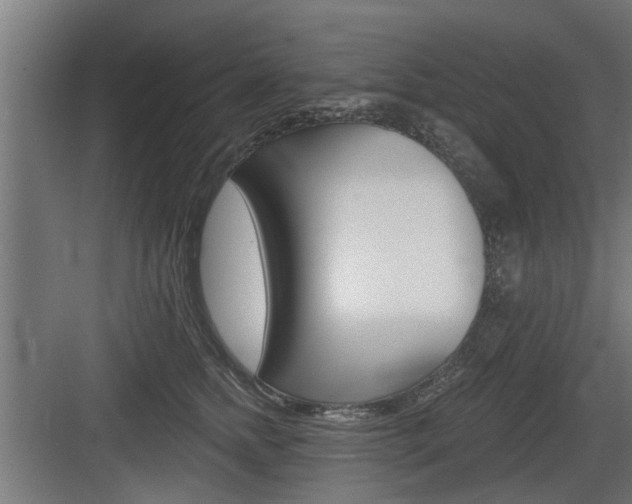 X0000083610758200702120723