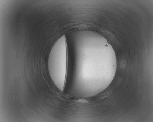 X0000083610759200702120723