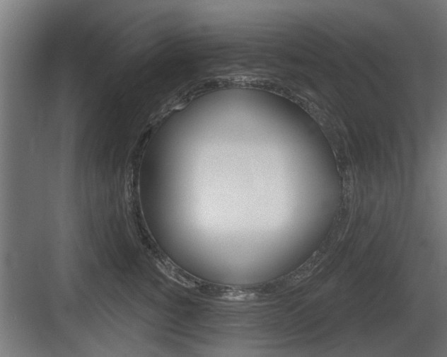 X0000083610760200702120723