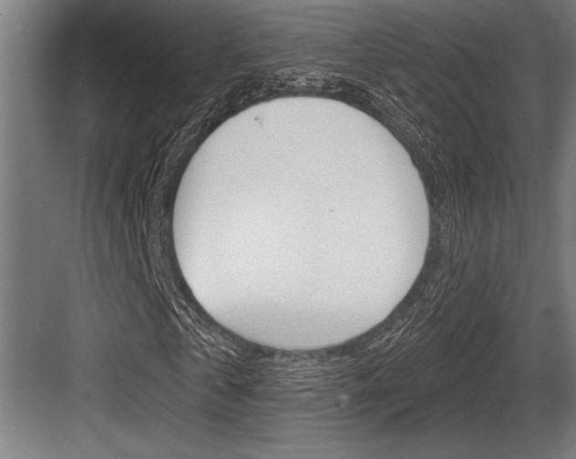 X0000083610769200702120723