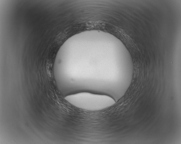 X0000083610770200702120723