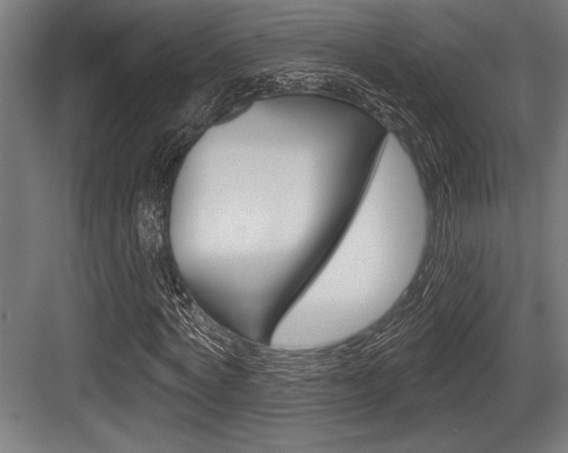 X0000083610772200702120723