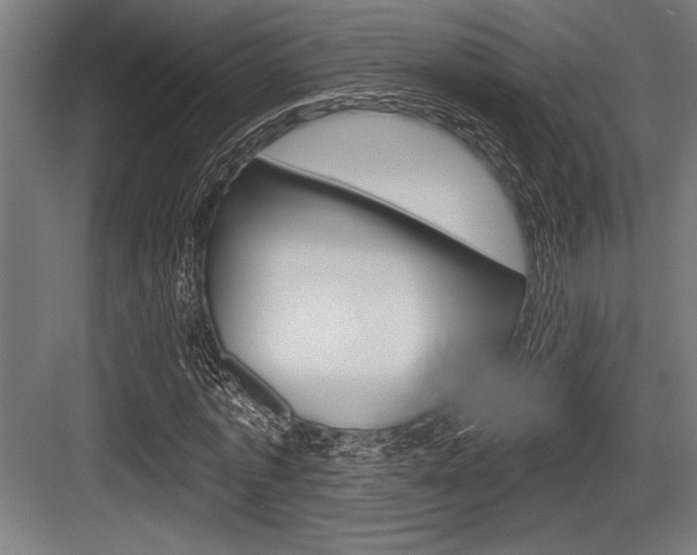 X0000083610773200702120723