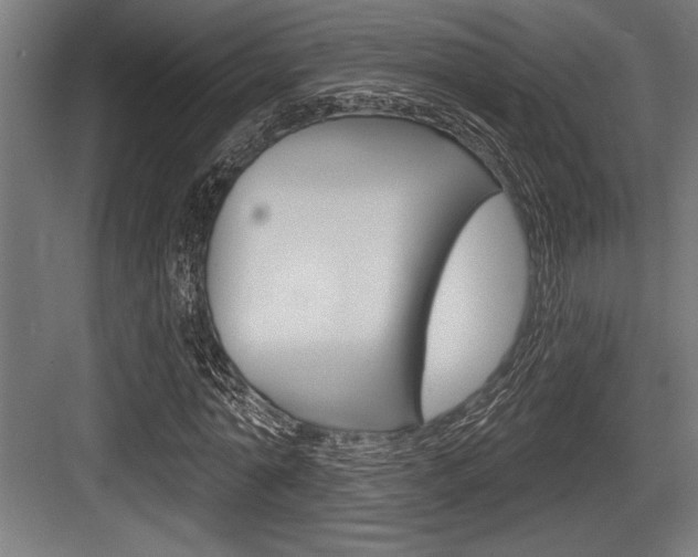 X0000083610774200702120723