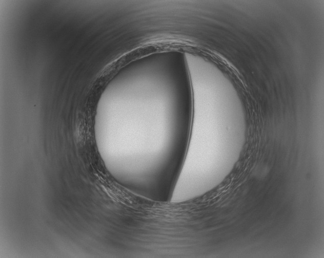 X0000083610775200702120722