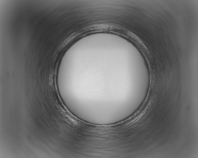 X0000083610778200702120722