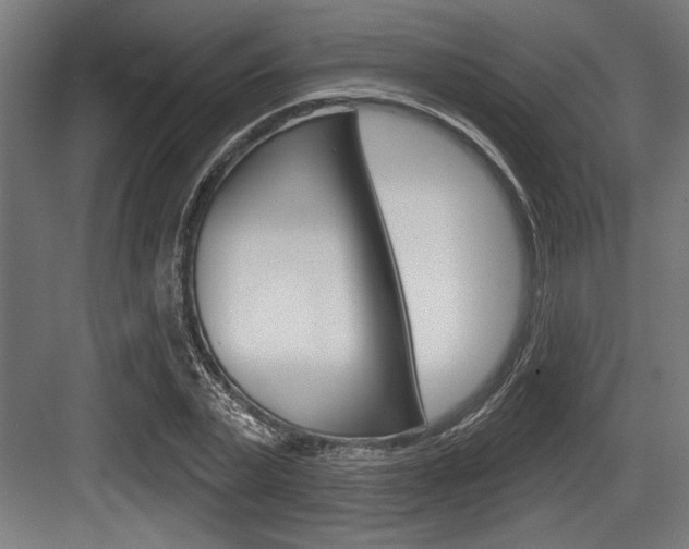 X0000083610783200702120722