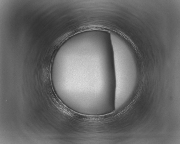 X0000083610785200702120722