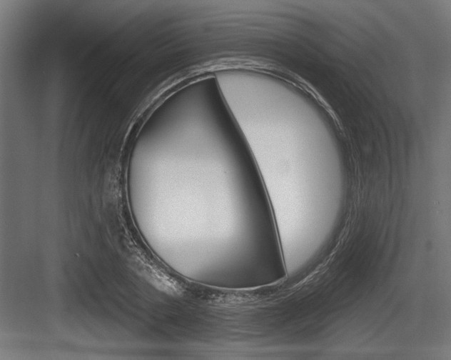 X0000083610786200702120722