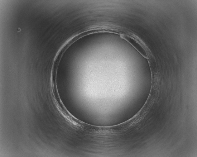 X0000083610788200702120722