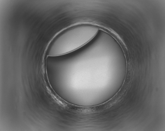 X0000083610791200702120722