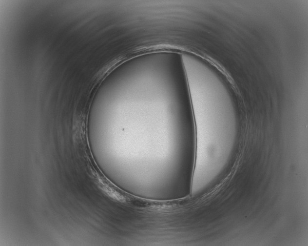 X0000083610793200702120722