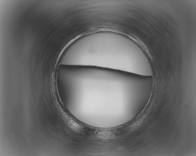 X0000083610798200702120722