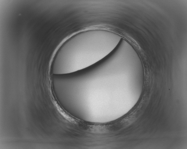 X0000083610800200702120722