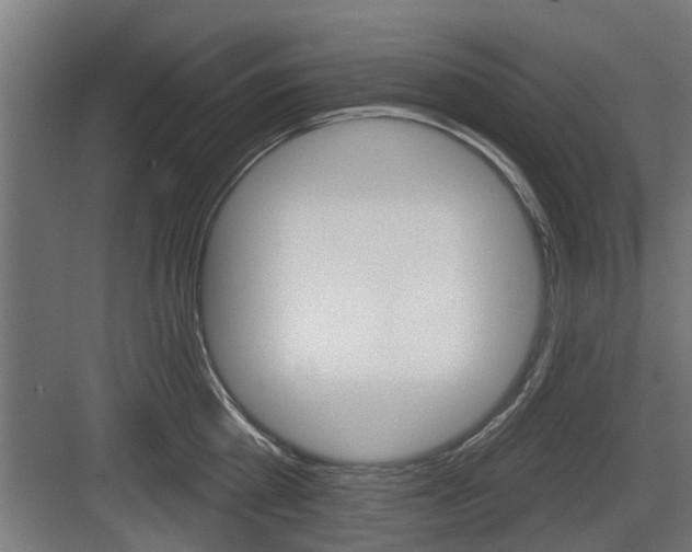 X0000083610809200702120722
