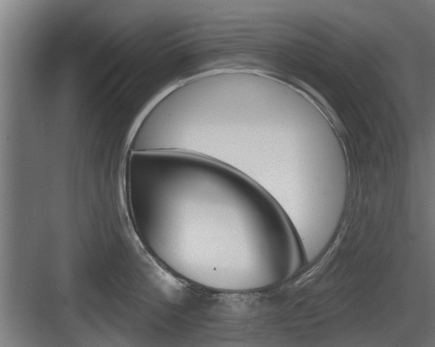 X0000083610812200702120722