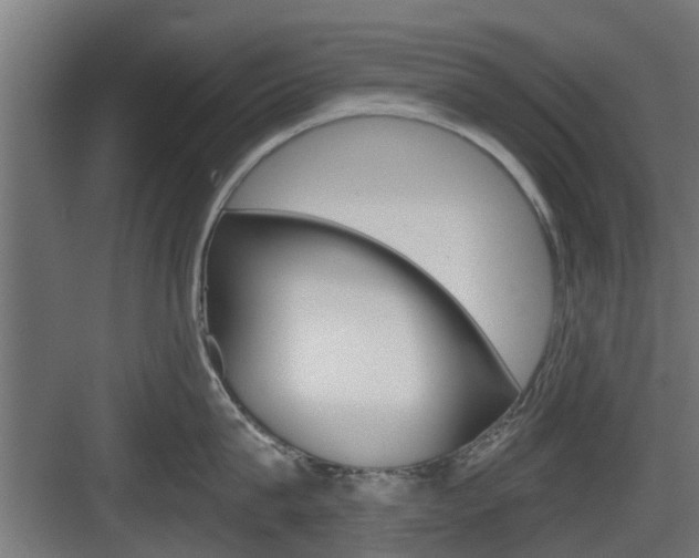 X0000083610815200702120722