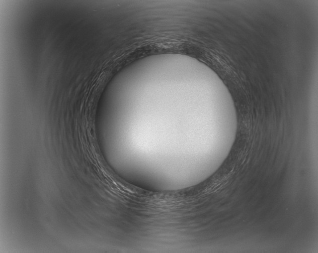 X0000083610817200702120721