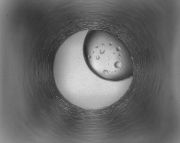 X0000083610818200702120721