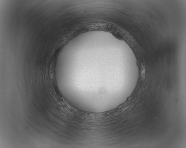 X0000083610819200702120721