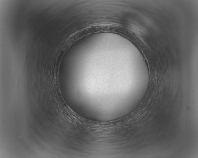 X0000083610821200702120721