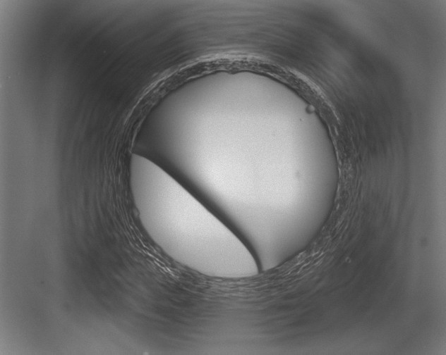 X0000083610823200702120721