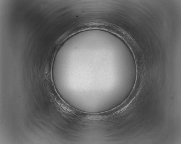X0000083610825200702120721