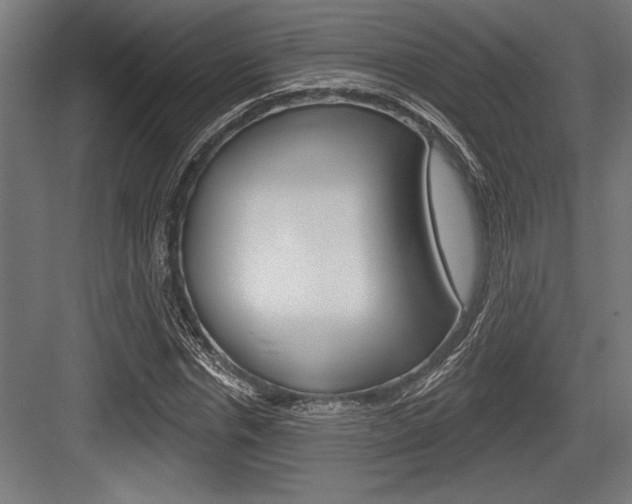 X0000083610826200702120721