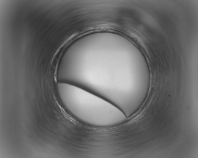 X0000083610827200702120721