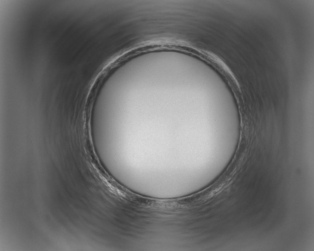 X0000083610831200702120721
