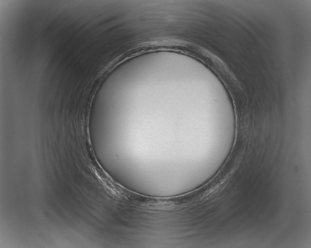 X0000083610833200702120721