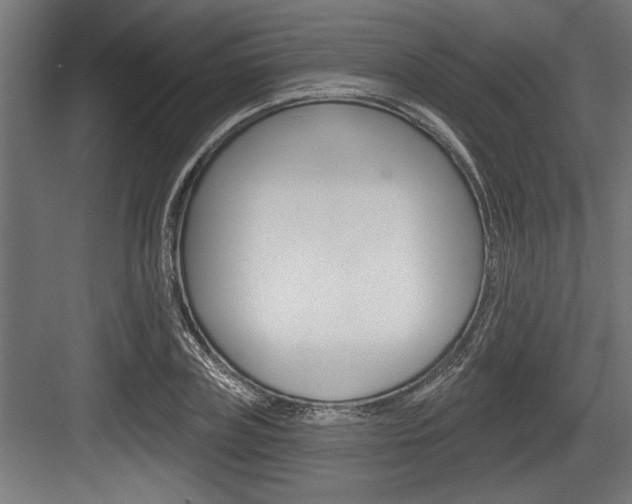 X0000083610835200702120721