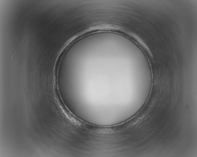 X0000083610837200702120721