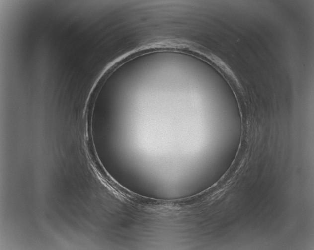 X0000083610838200702120721