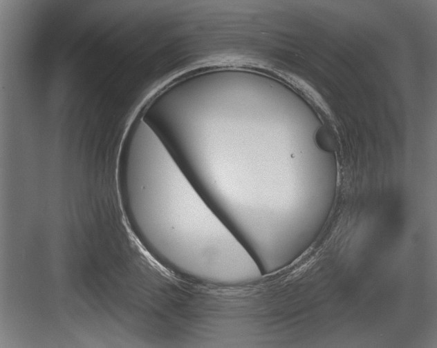 X0000083610839200702120721