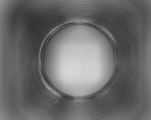 X0000083610840200702120721