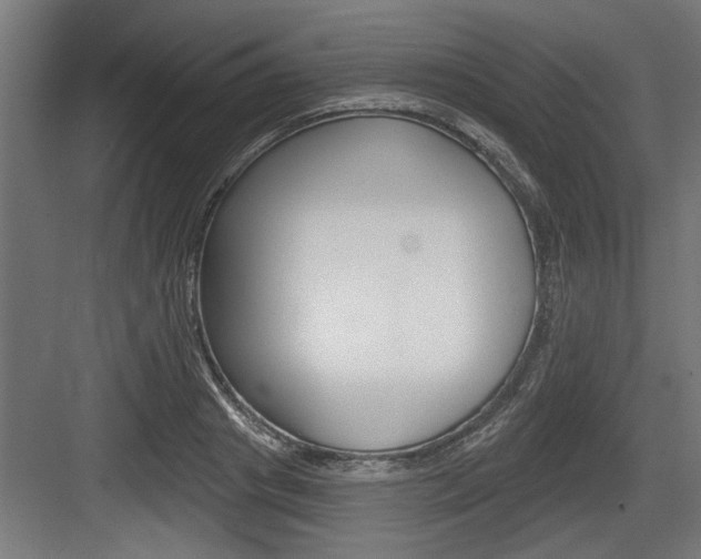 X0000083610841200702120721