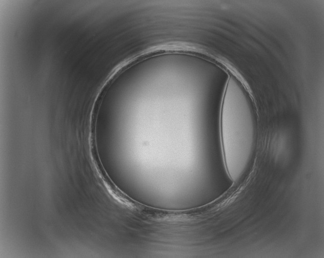 X0000083610845200702120721