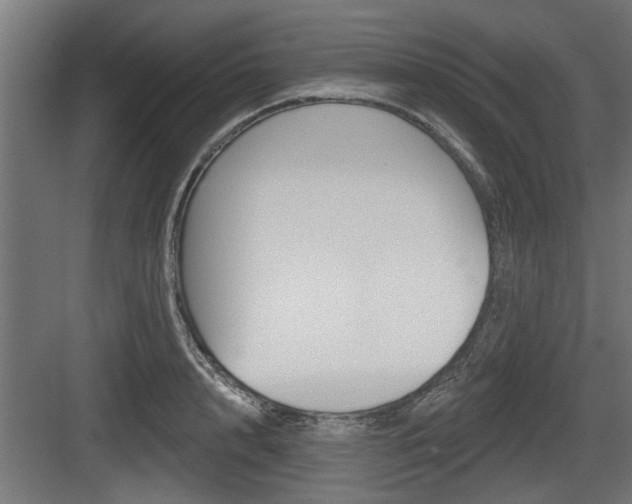 X0000083610848200702120722