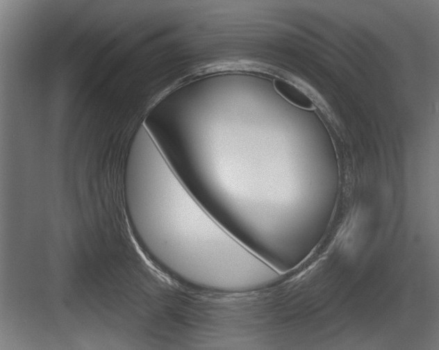 X0000083610849200702120722