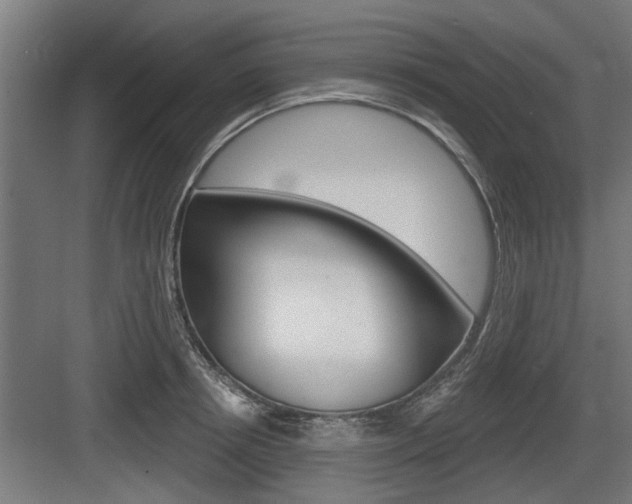 X0000083610850200702120722