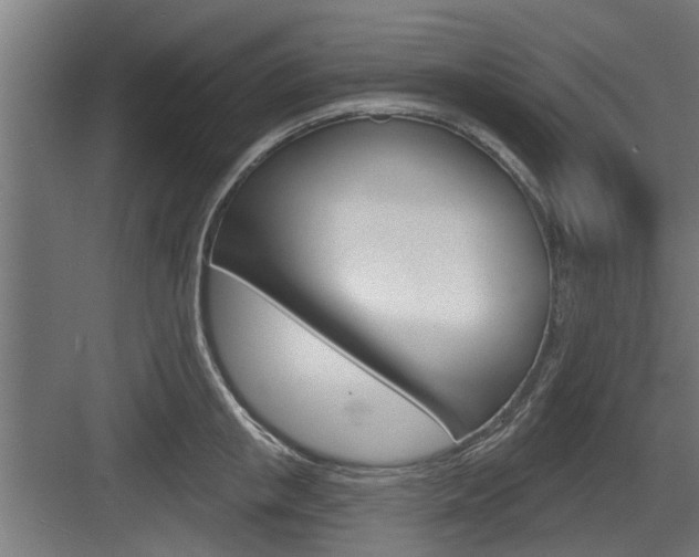 X0000083610853200702120722