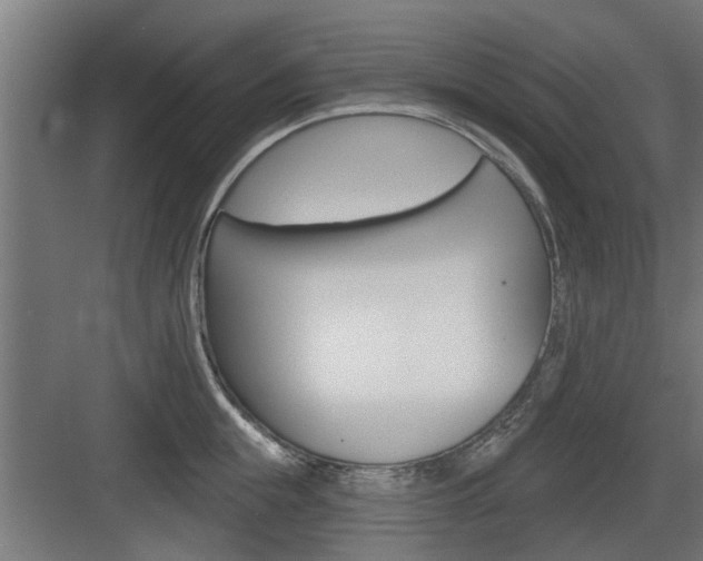 X0000083610855200702120722