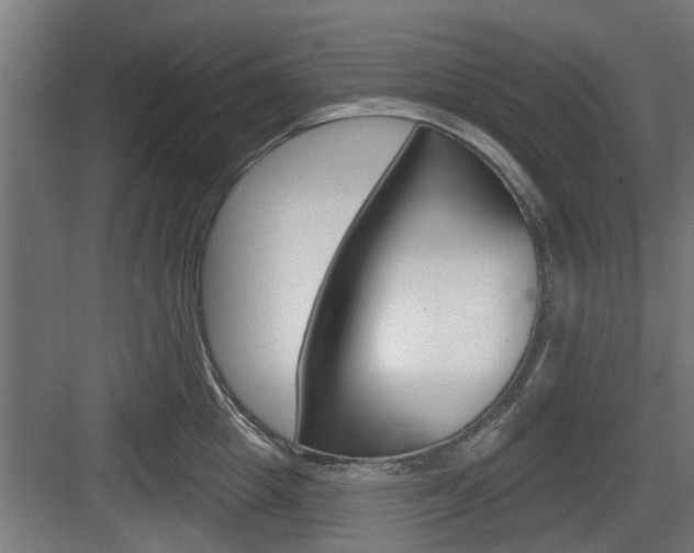 X0000083610857200702120722