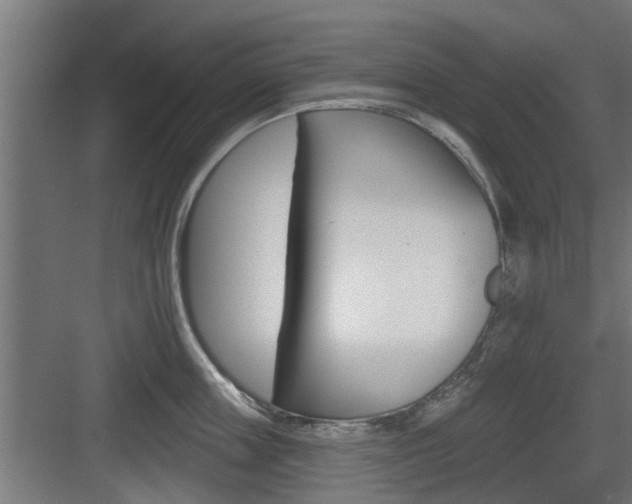 X0000083610859200702120722