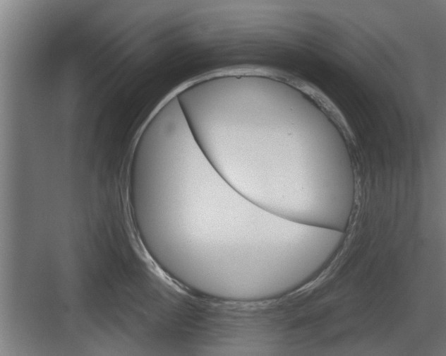 X0000083610860200702120722