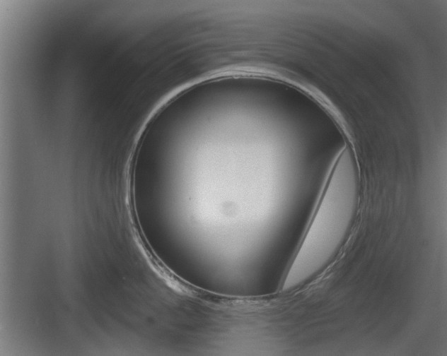 X0000083610862200702120722