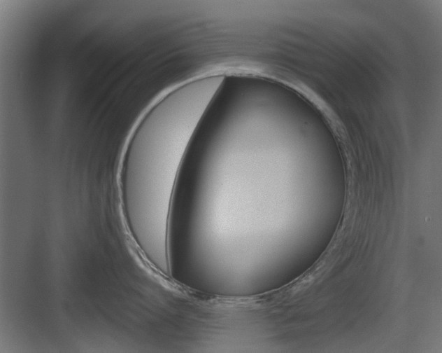 X0000083610864200702120722