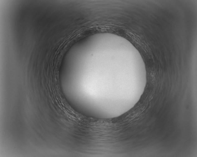 X0000083610865200702120721