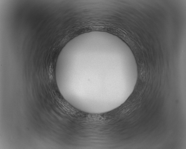X0000083610866200702120721